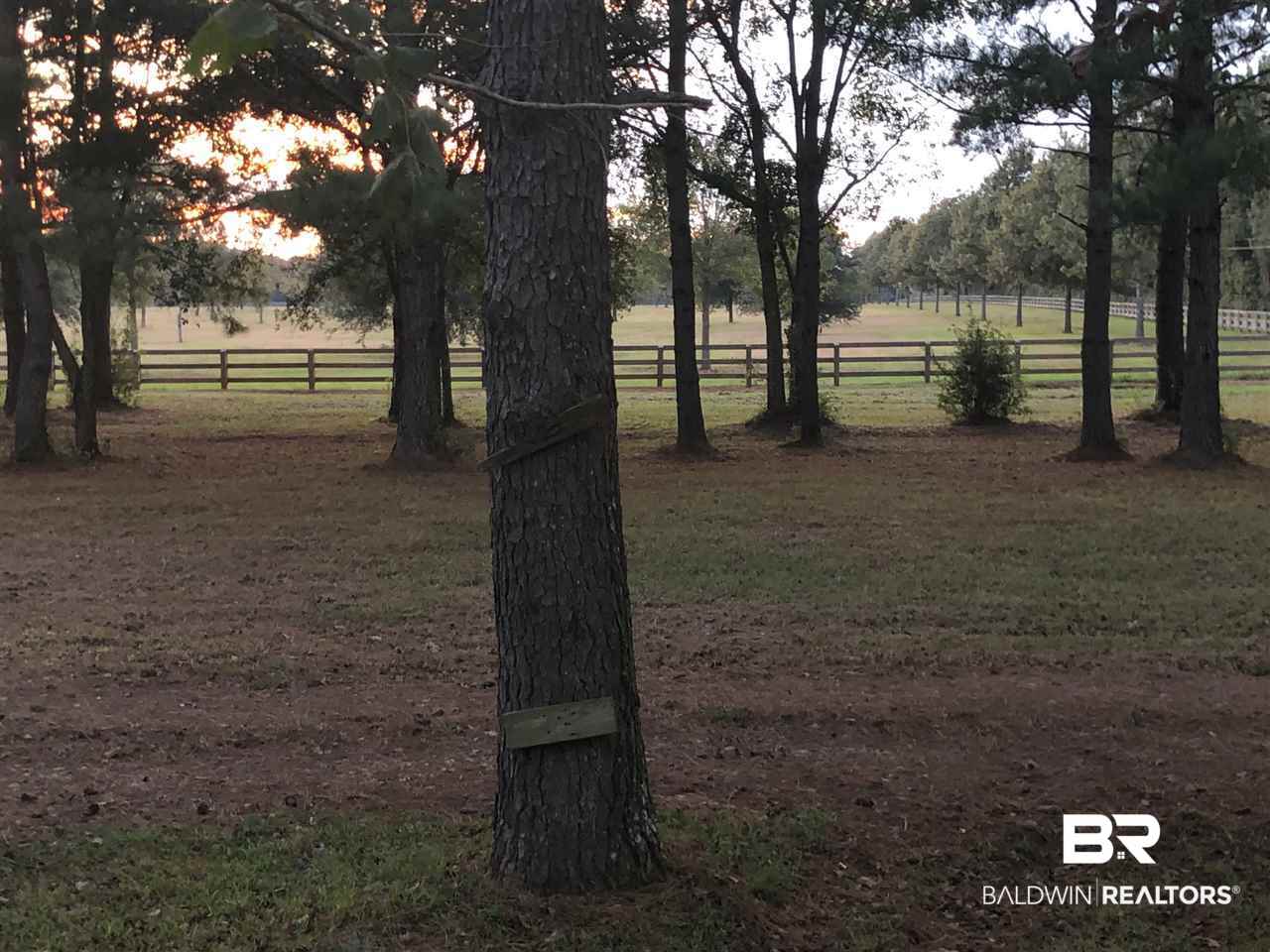 7532 Rabbit Run Road Fairhope, AL 36532 - Photo 22 of 22 Gallery Image 22
