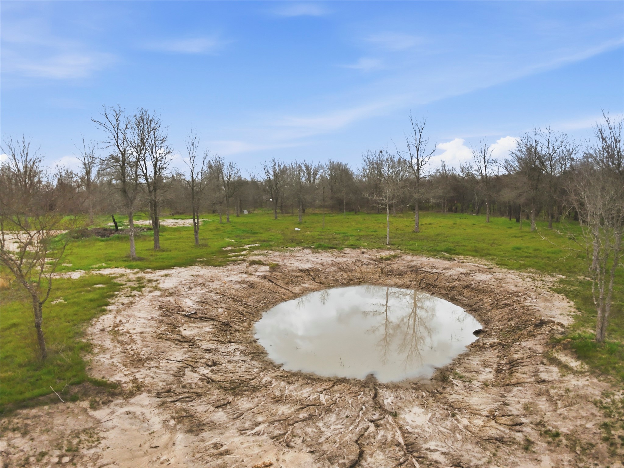 0 Willow Road Wallis, TX 77485 - Photo 21 of 29 a view of a backyard