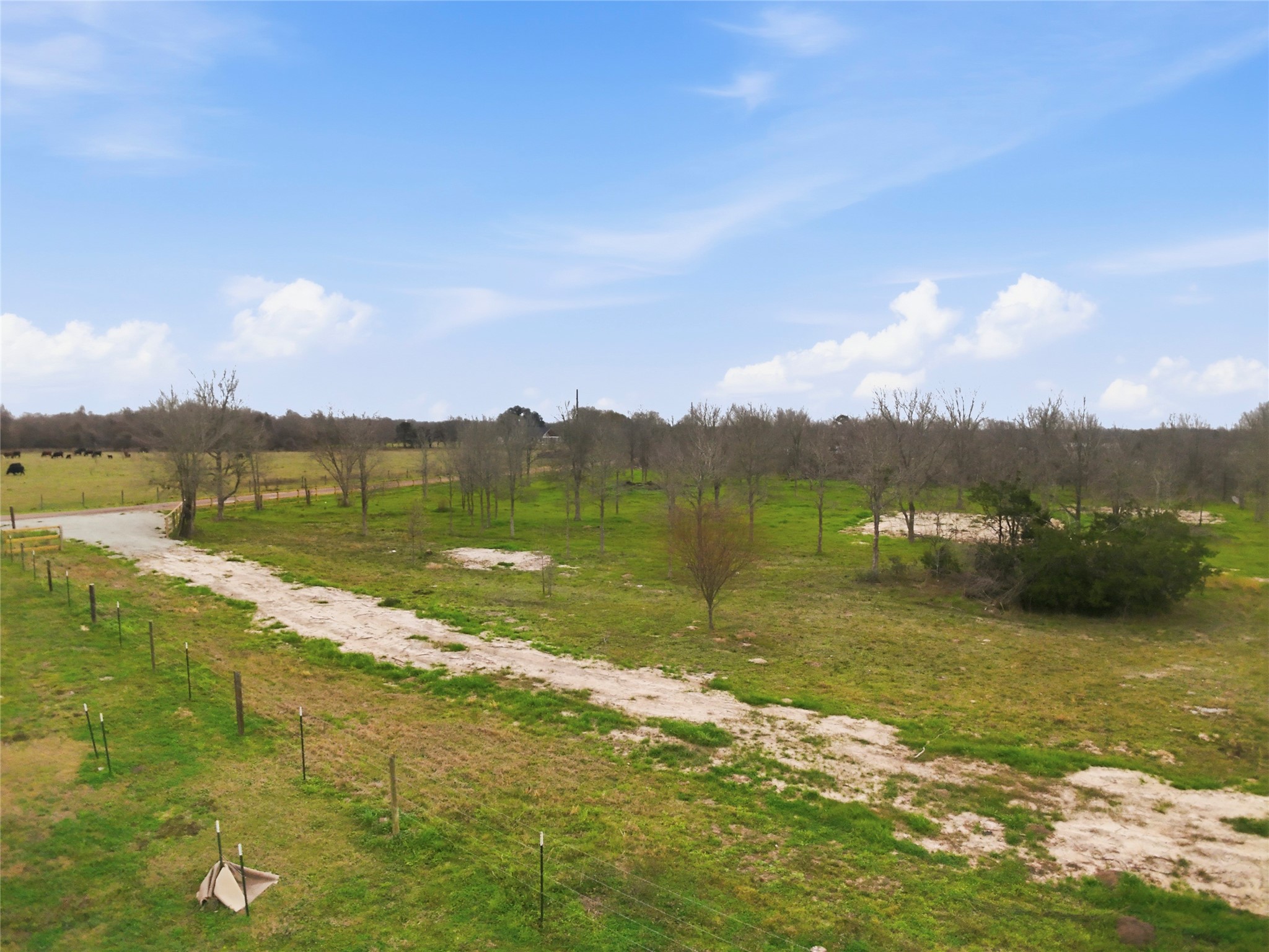 0 Willow Road Wallis, TX 77485 - Photo 22 of 29 a view of a lake with a city