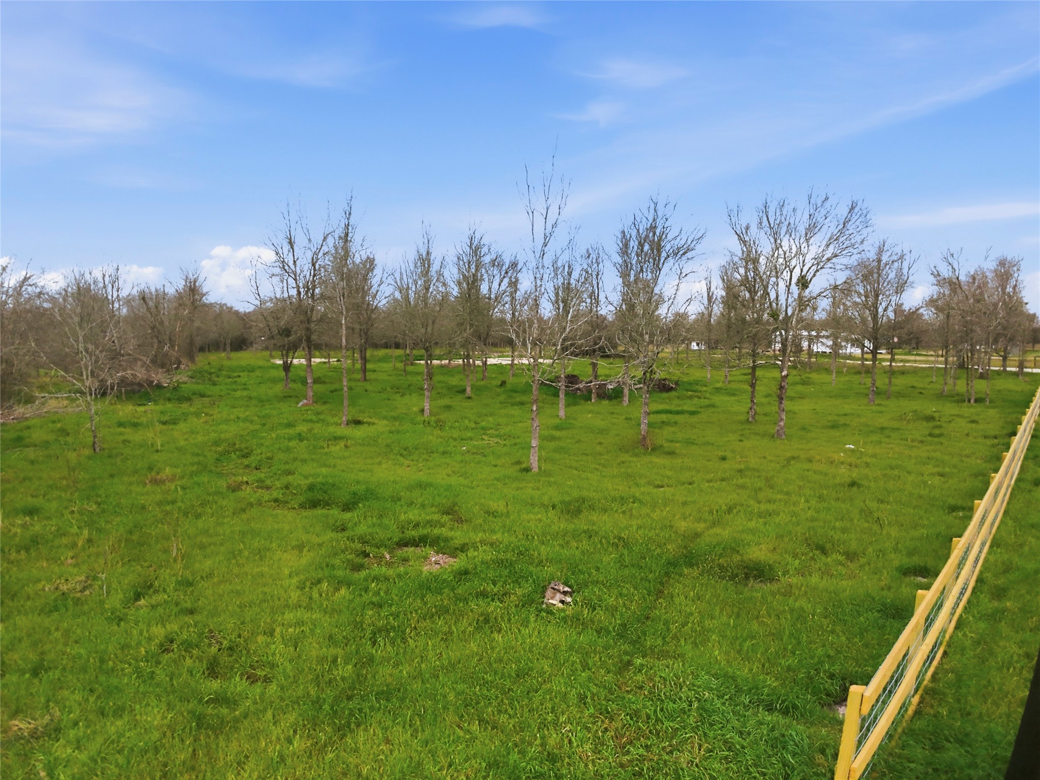 0 Willow Road Wallis, TX 77485 - Photo 8 of 29 a grassy field with trees in the background