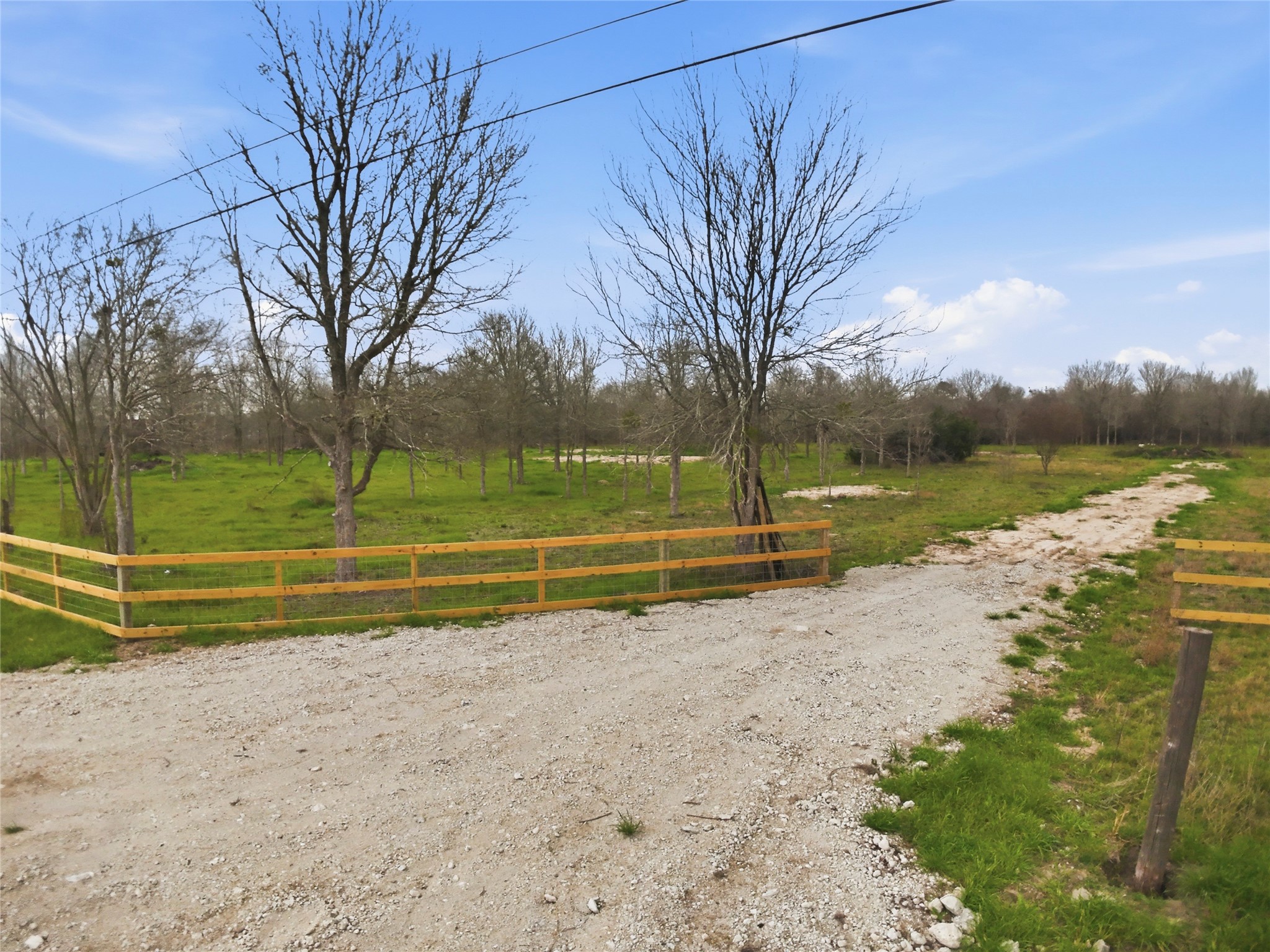 0 Willow Road Wallis, TX 77485 - Photo 9 of 29 a view of a lake