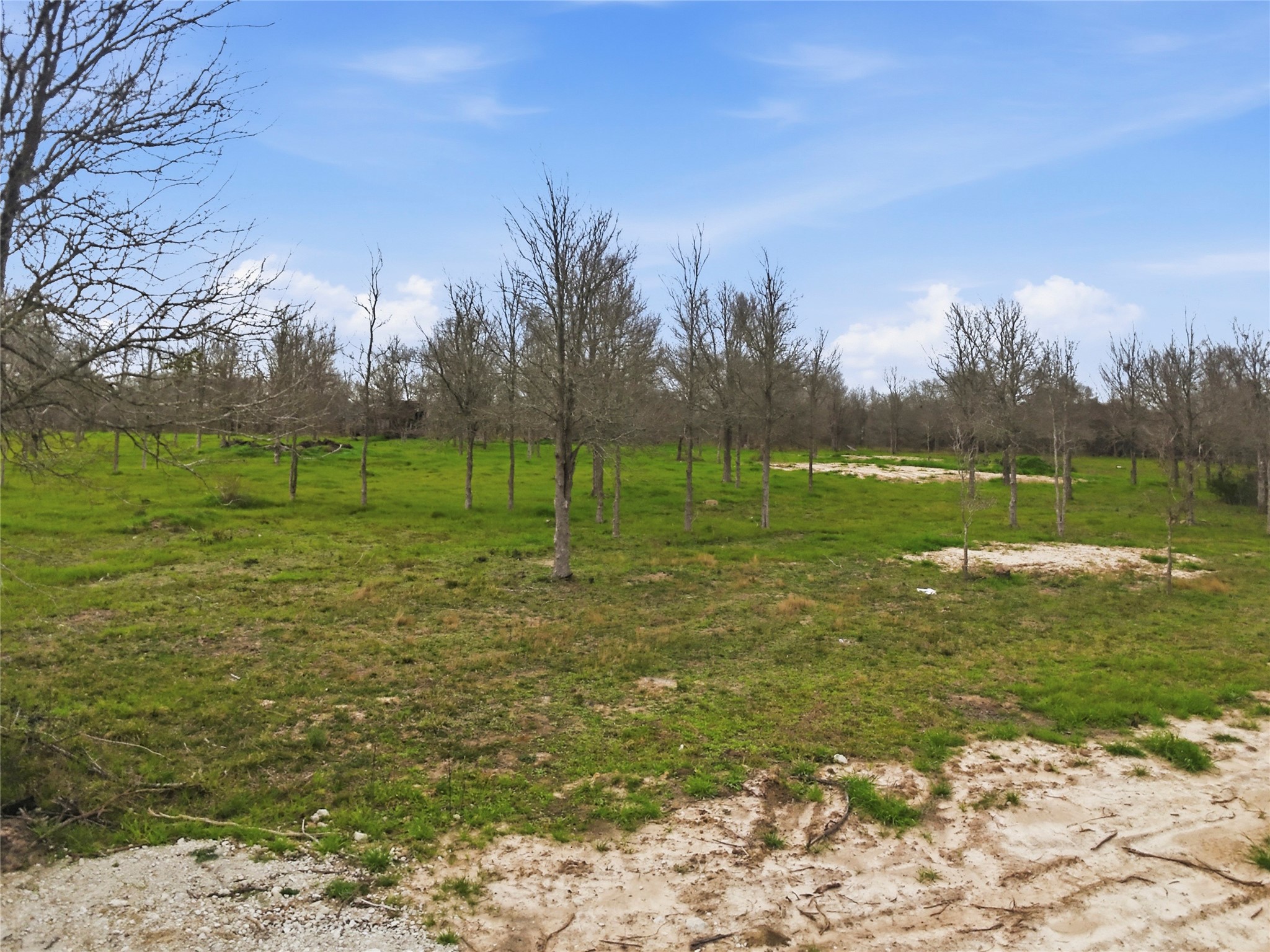 0 Willow Road Wallis, TX 77485 - Photo 10 of 29 a view of a park