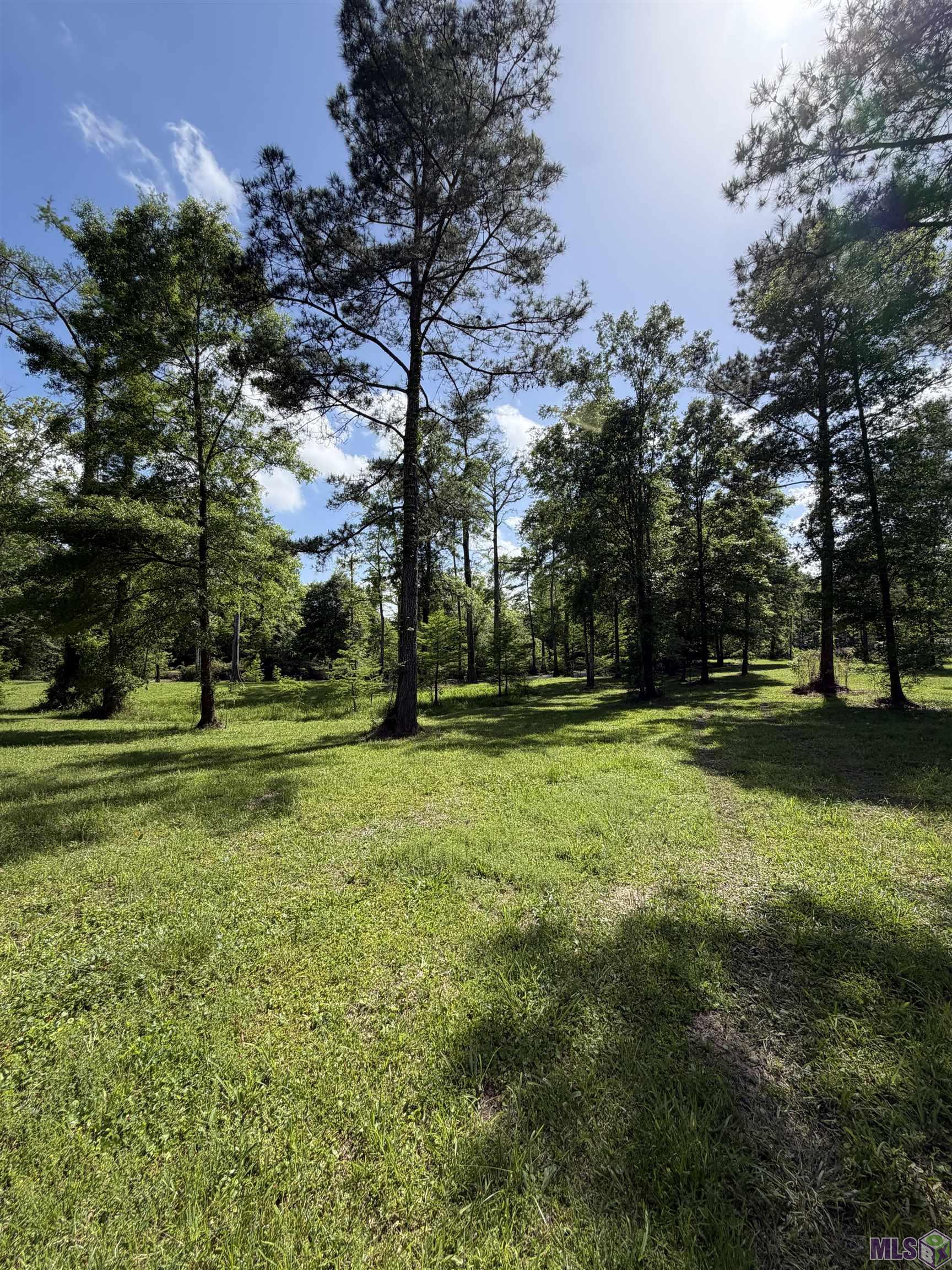 17635 Melancon Road Livingston, LA 70754 - Photo 34 of 40 Gallery Image 34