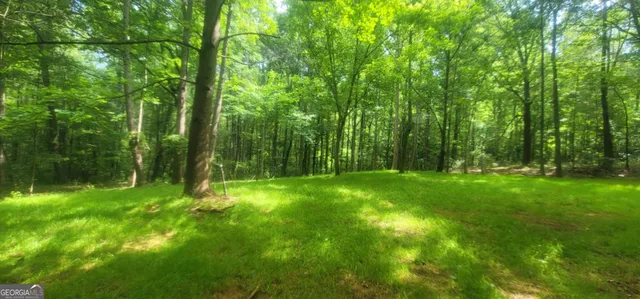 a view of yard with green space