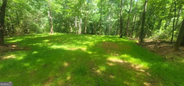 a backyard of a house with lots of green space