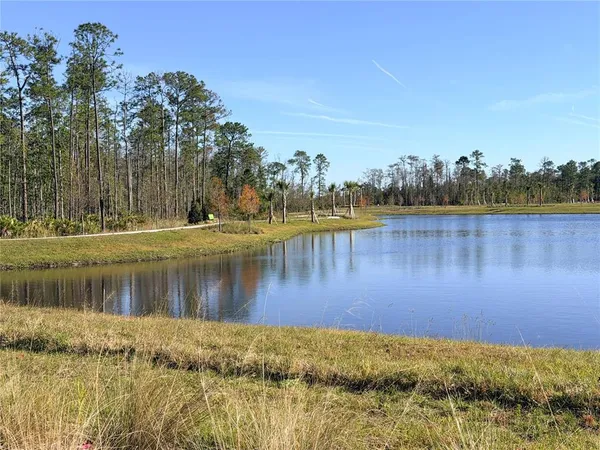 a living room filled with furniture and a potted plant
