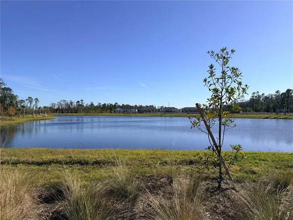 $2,800 | 9948 Red Canoe Alley, Orlando, FL 32832