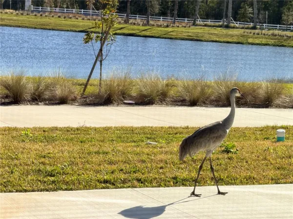 $2,800 | 9948 Red Canoe Alley, Orlando, FL 32832