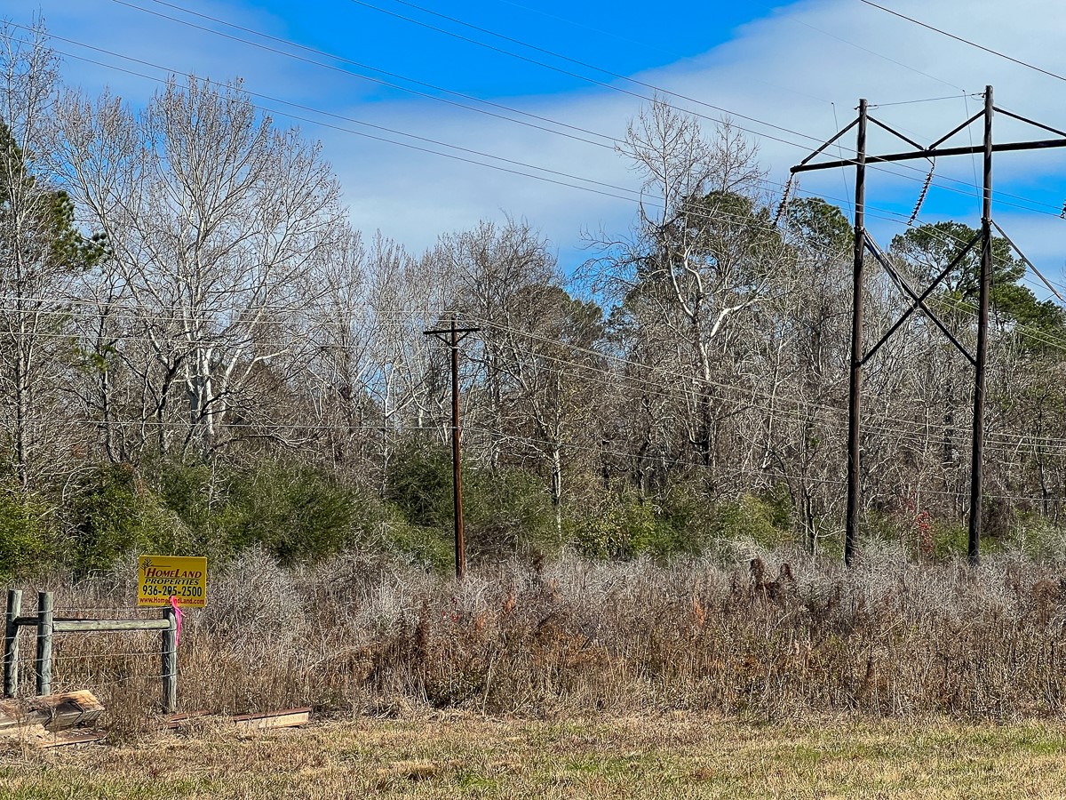 0 Joe Allen Road Kountze, TX 77625 - Photo 4 of 4