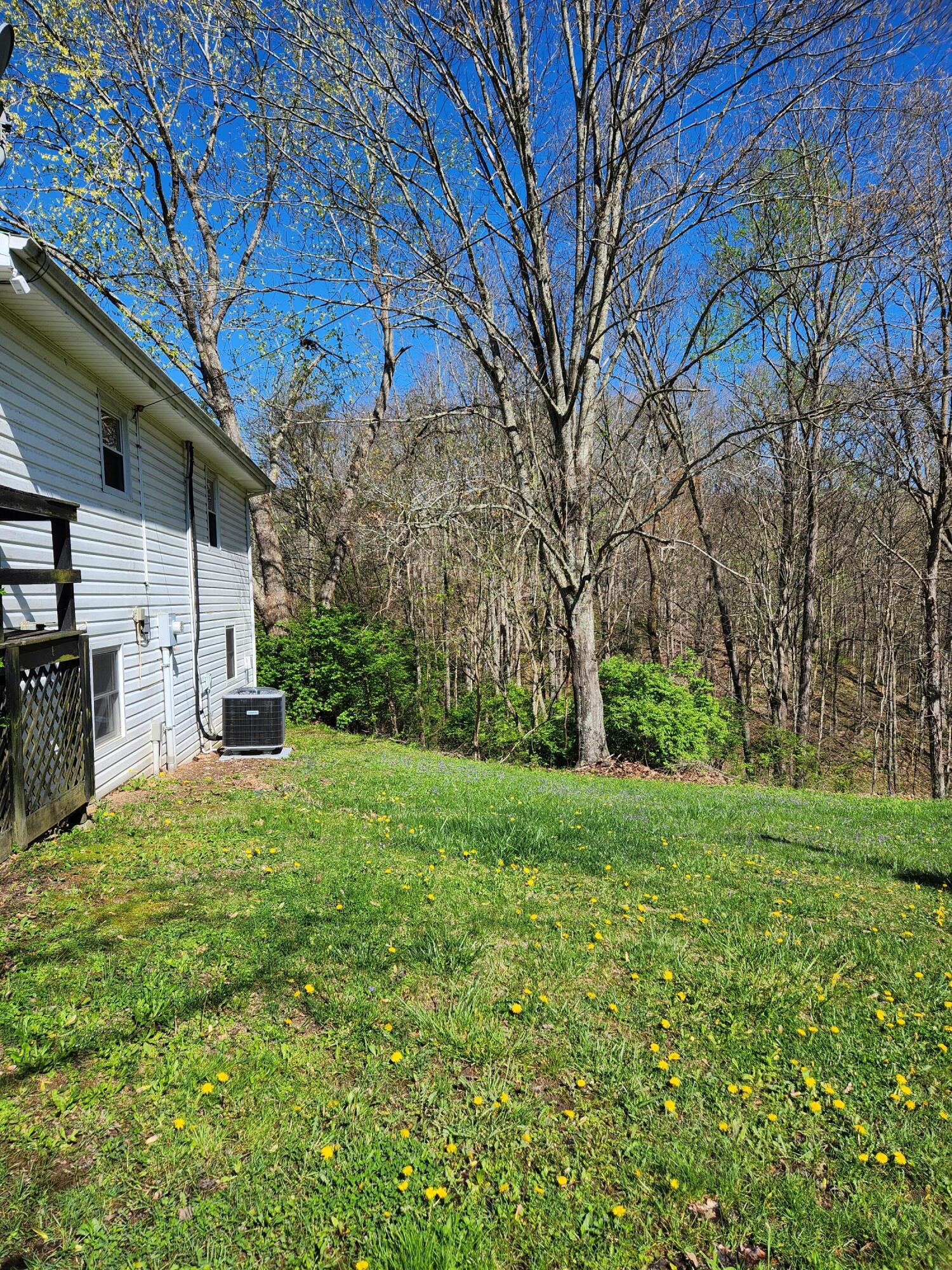 90 Yellow Pine Road Clay City, KY 40312 - Photo 5 of 29 20240413_105749