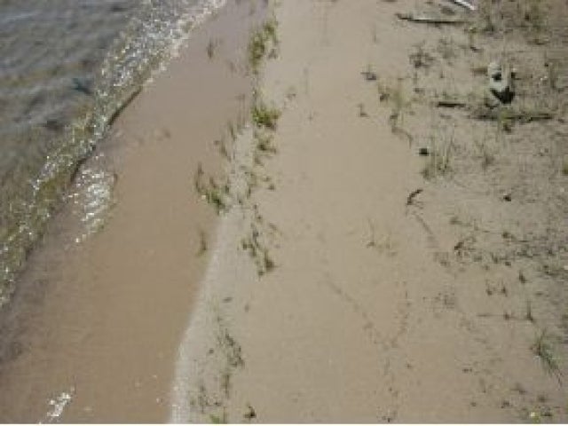 Lot 2 2 Lakes Road Lake Tomahawk, WI 54539 - Photo 10 of 12 Gallery Image 10