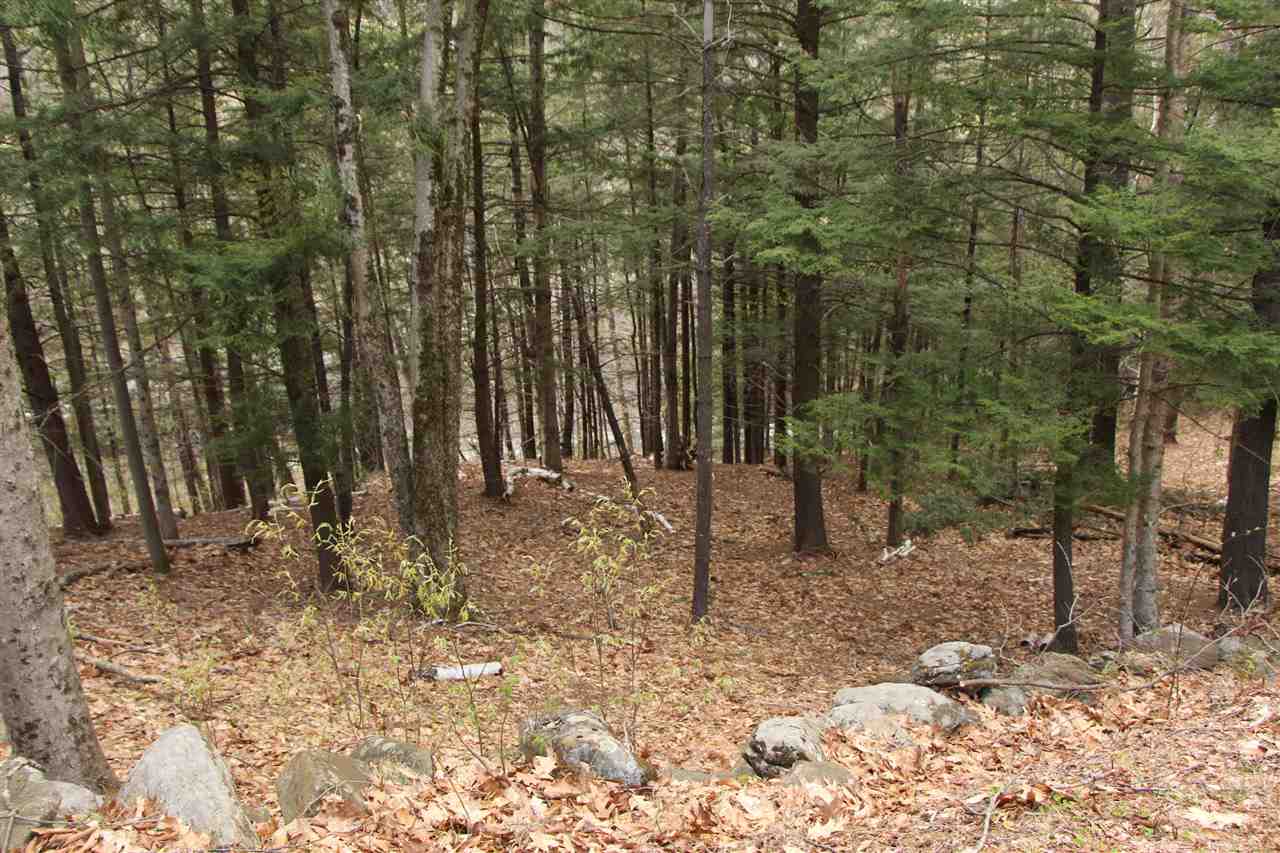 2635 Green River Road Halifax, VT 05301 - Photo 20 of 26 Gallery Image 20