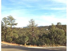 1498 Eureka Ridge Way Prescott, AZ 86303 - Photo 3 of 3 Additional Photo