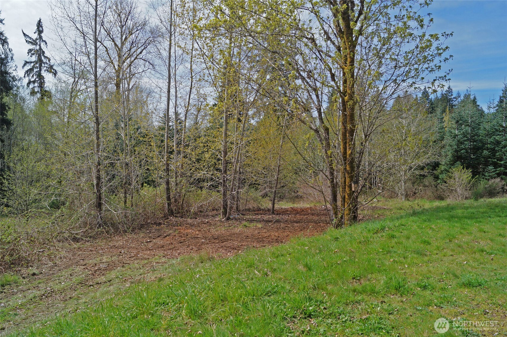 7871 West Shelton Matlock Road Shelton, WA 98584 - Photo 11 of 13 a view of outdoor space with trees all around
