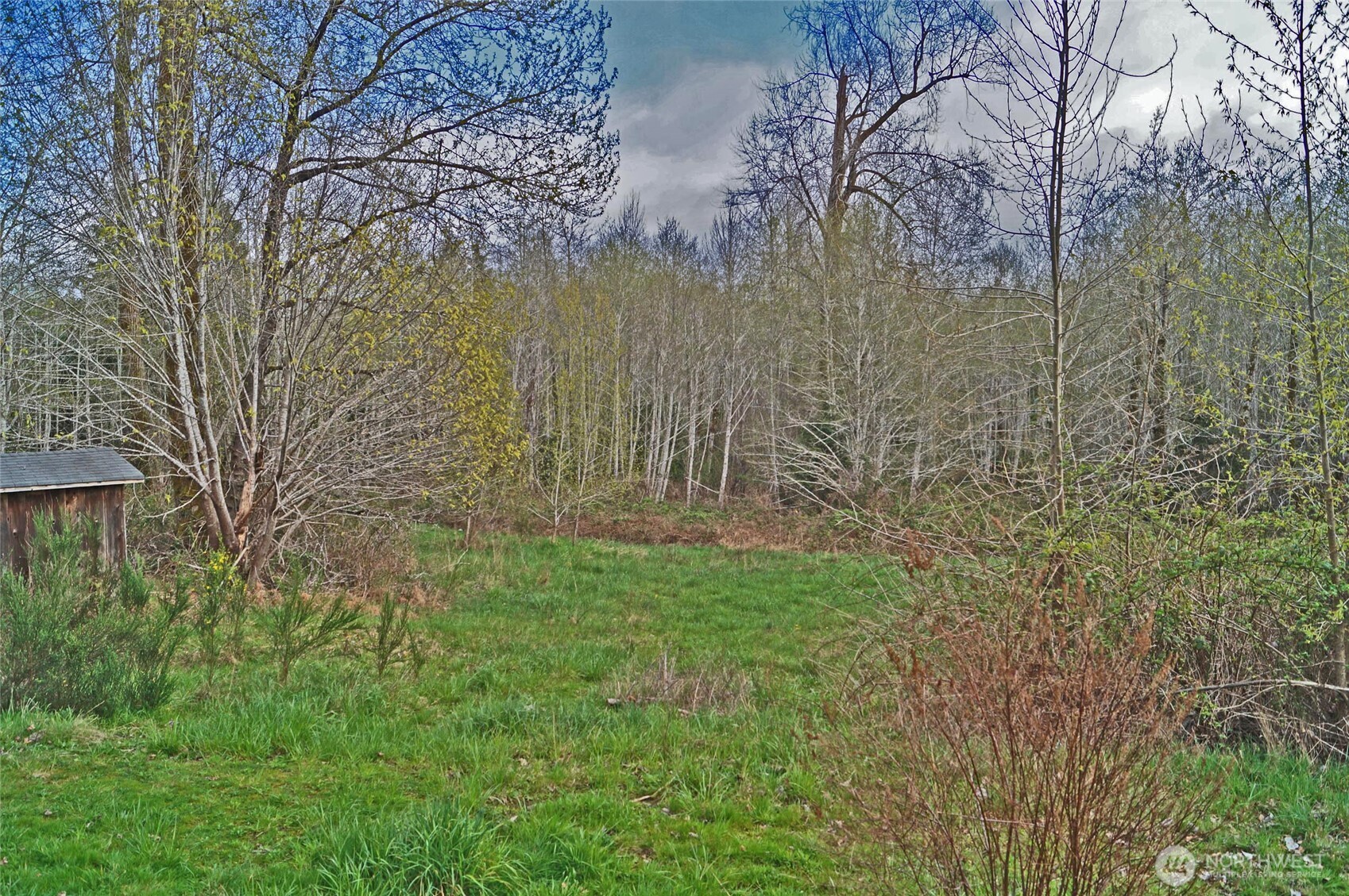 7871 West Shelton Matlock Road Shelton, WA 98584 - Photo 12 of 13 a view of garden with trees