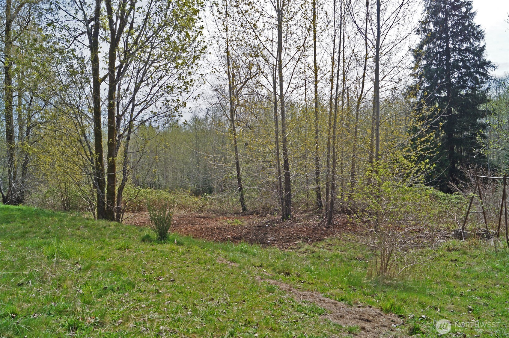 7871 West Shelton Matlock Road Shelton, WA 98584 - Photo 13 of 13 a view of outdoor space with green field and trees