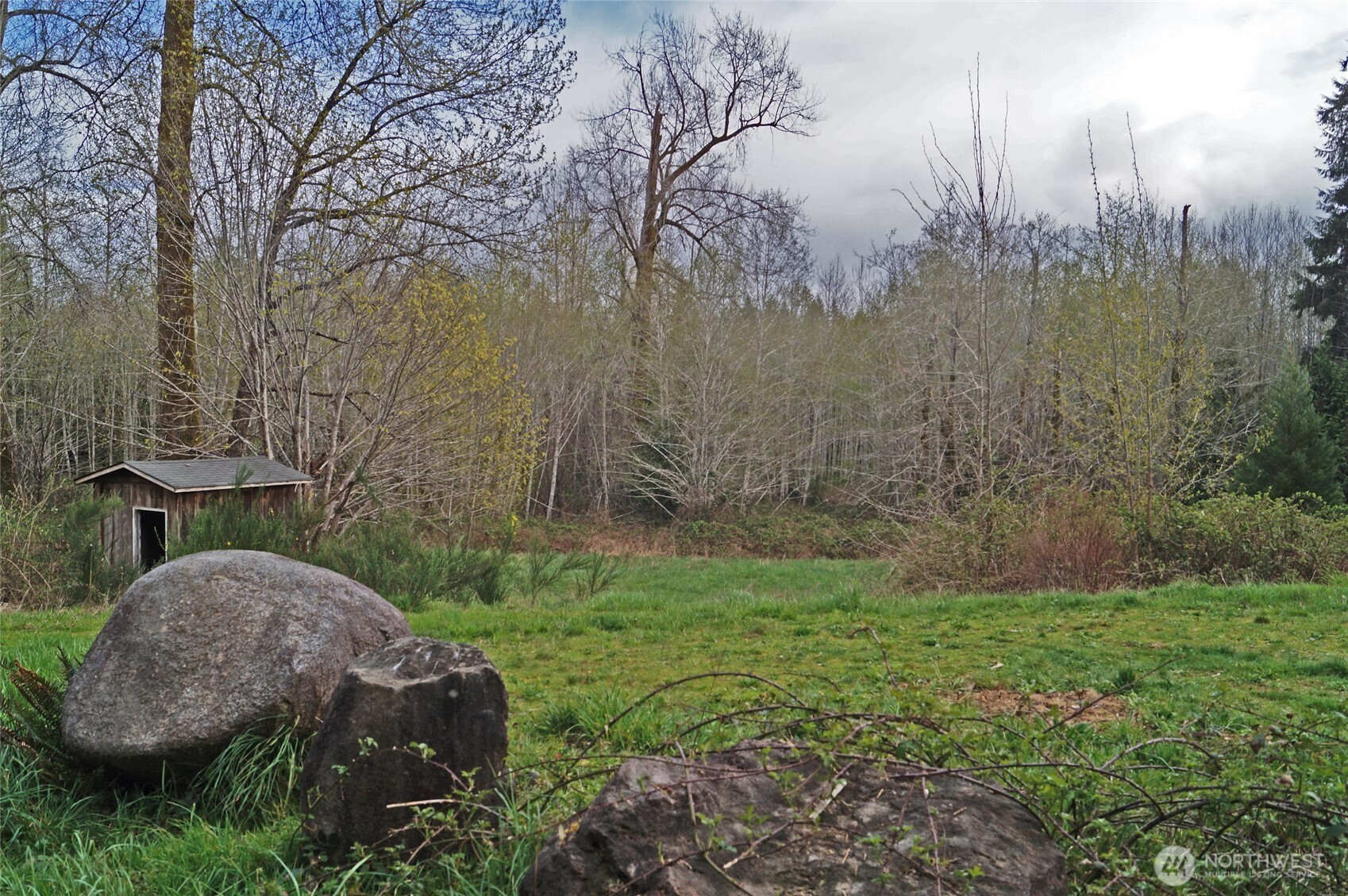 7871 West Shelton Matlock Road Shelton, WA 98584 - Photo 4 of 13 a view of garden with trees