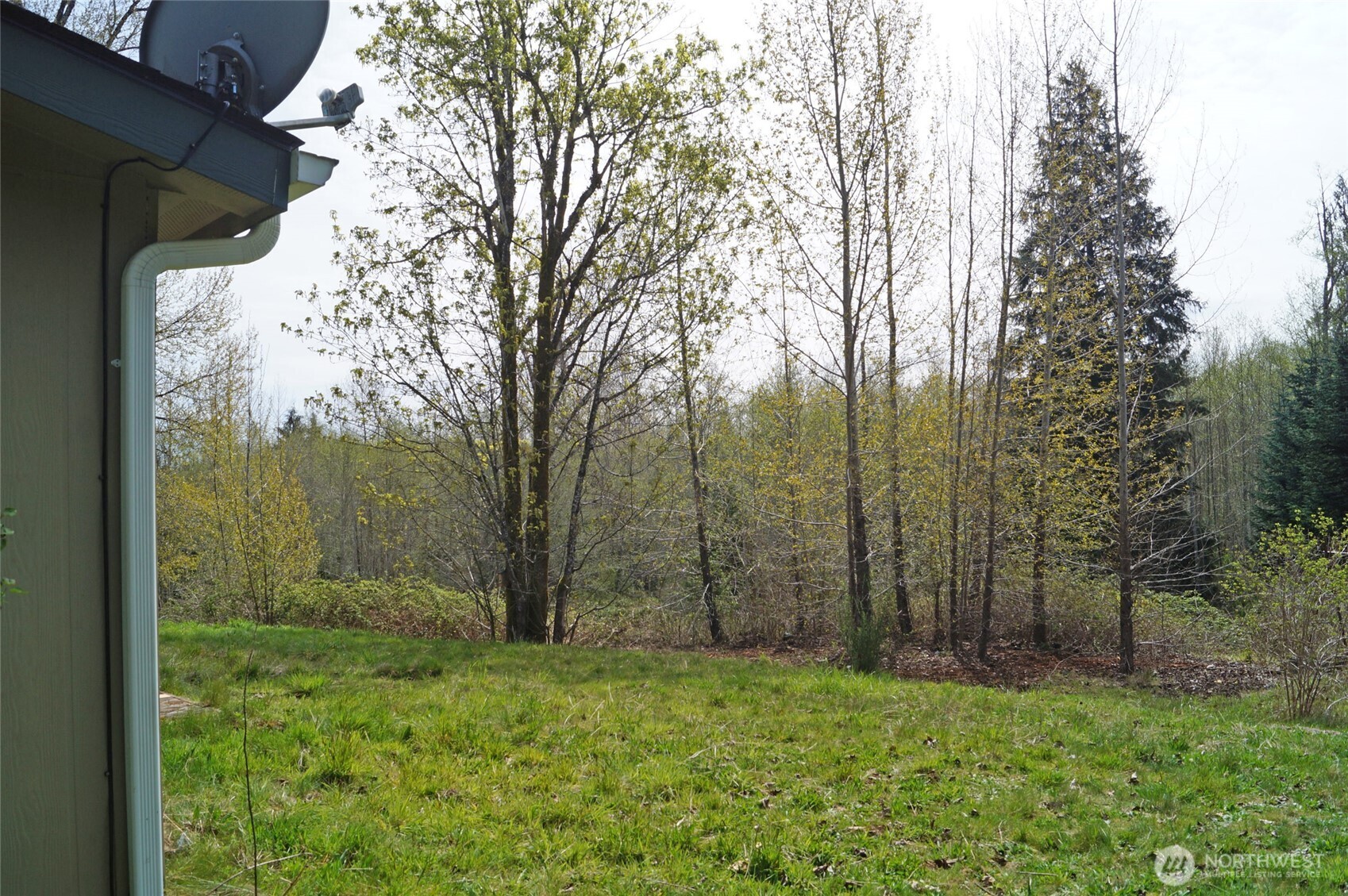 7871 West Shelton Matlock Road Shelton, WA 98584 - Photo 5 of 13 a view of a yard with large trees