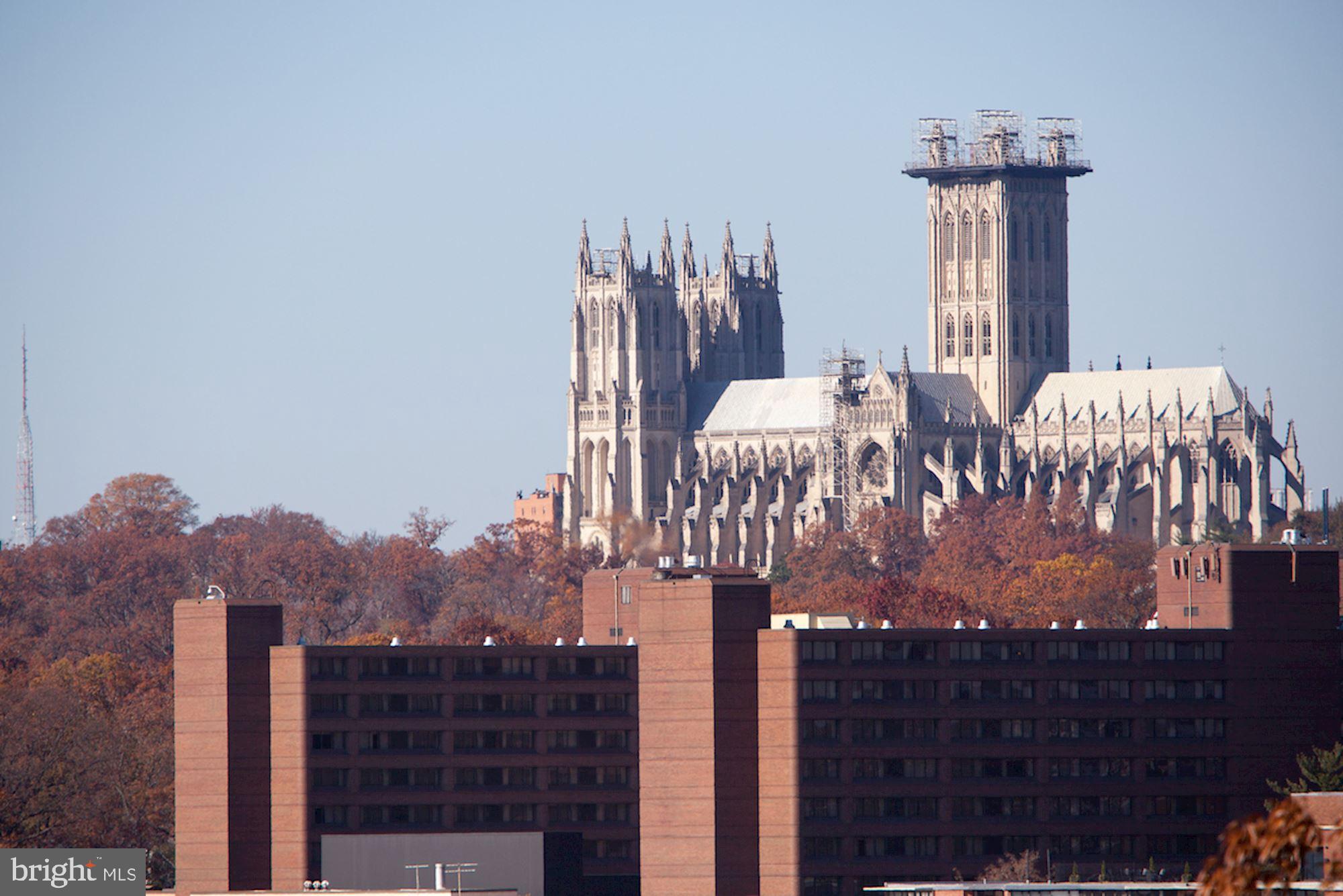 1880 Columbia Road Northwest, Unit 102 Washington, DC 20009 - Photo 25 of 25 Gaze at the National Cathedral