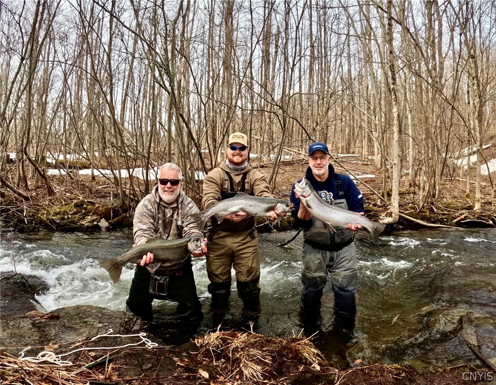 241 Jerry Look Road Orwell, NY 13144 - Photo 6 of 42 All these fish were caught on the property