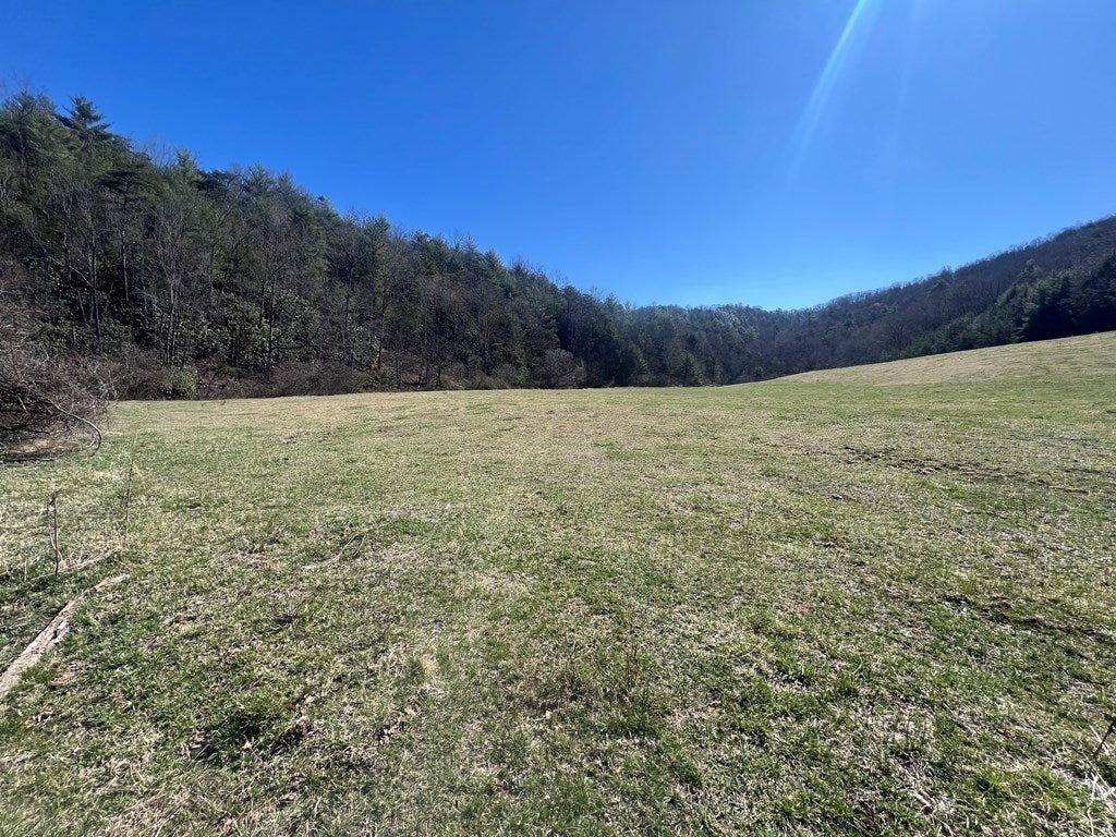 Tbd Tbd Pine Grove Road Austinville, VA 24312 - Photo 15 of 26 Gallery Image 15