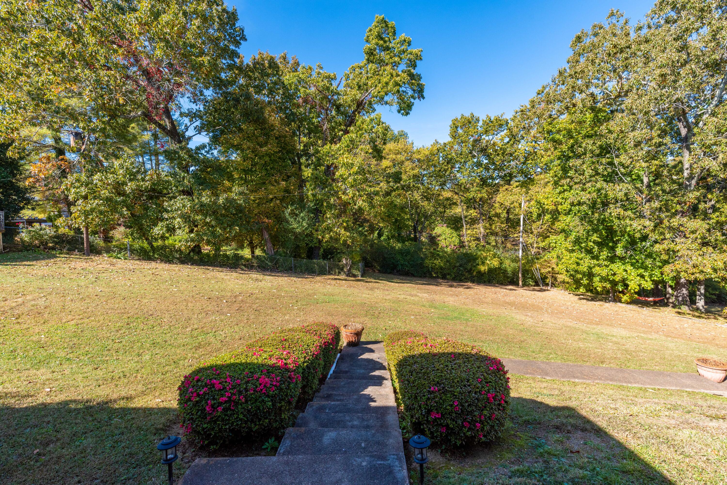1607 South Rugby Place Chattanooga, TN 37412 - Photo 24 of 29 Backyard