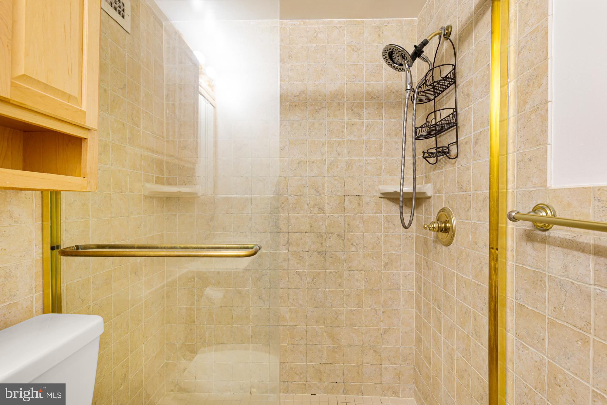 1900 Lyttonsville Road, Unit 818 Silver Spring, MD 20910 - Photo 14 of 23 a bathroom with a shower