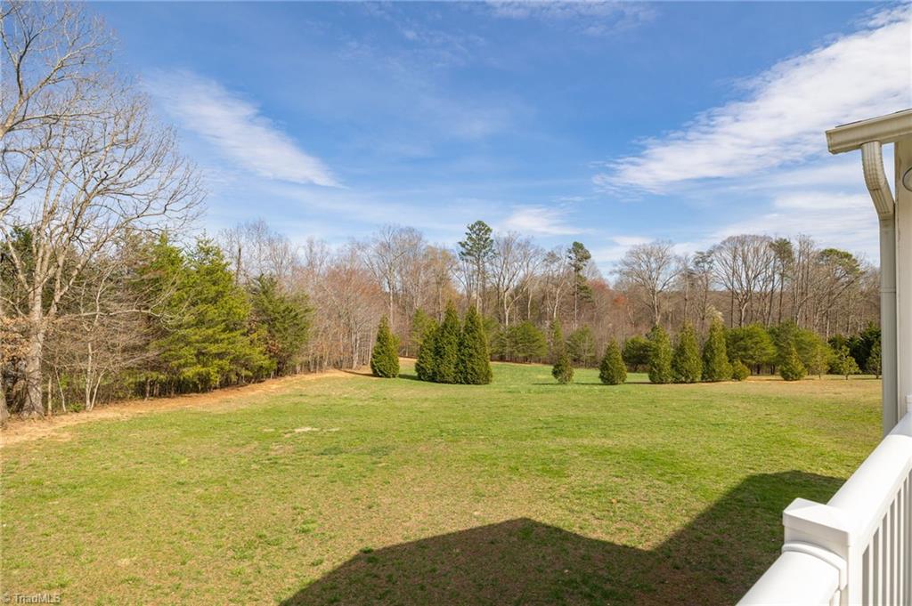 447 Culler Road Pinnacle, NC 27043 - Photo 30 of 36 Secluded backyard