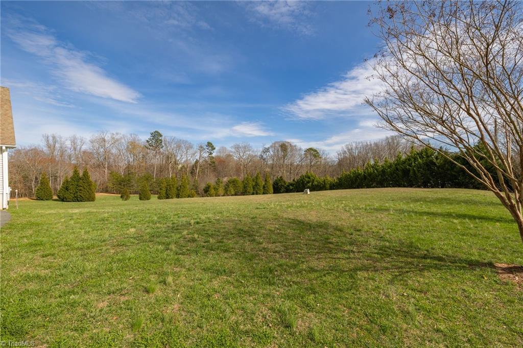 447 Culler Road Pinnacle, NC 27043 - Photo 36 of 36
