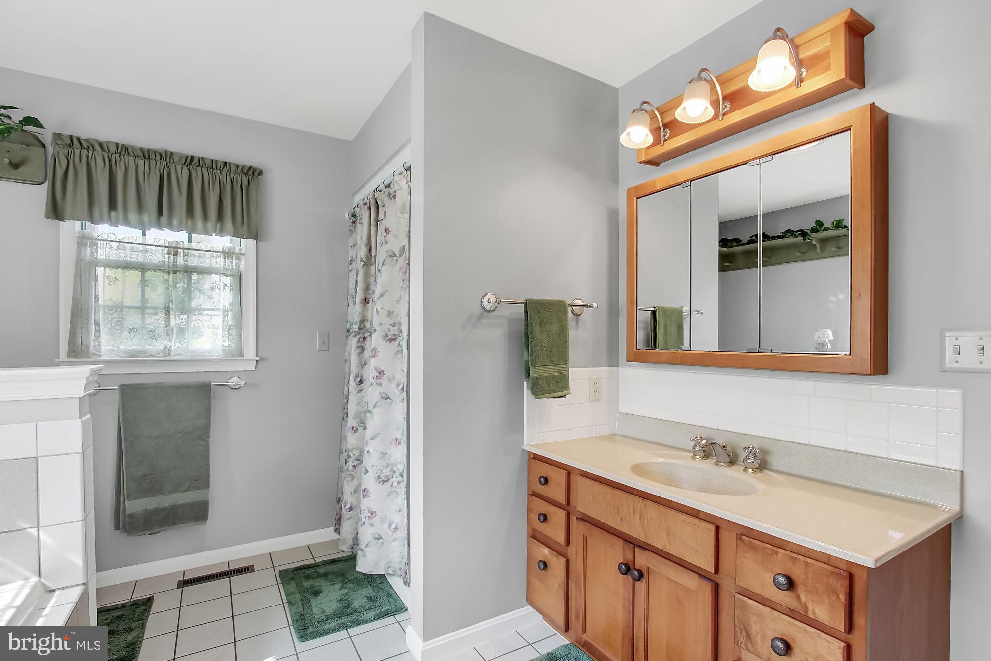 621 Telegraph Road Rising Sun, MD 21911 - Photo 14 of 60 master bath
