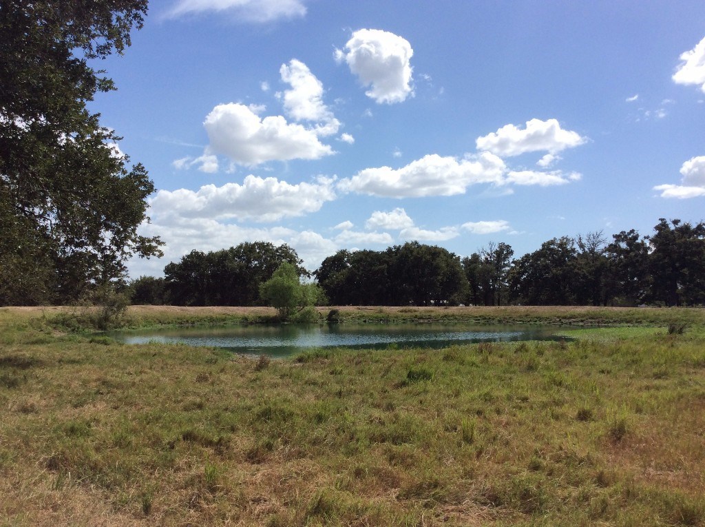 1697 FM 1697 Road Ledbetter, TX 78946 - Photo 1 of 1 a view of a golf course with a lake