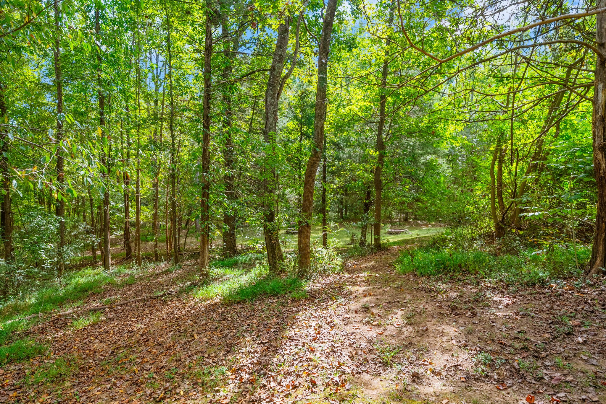 480 Hickman Shores Road Dover, TN 37058 - Photo 47 of 57 Gallery Image 47