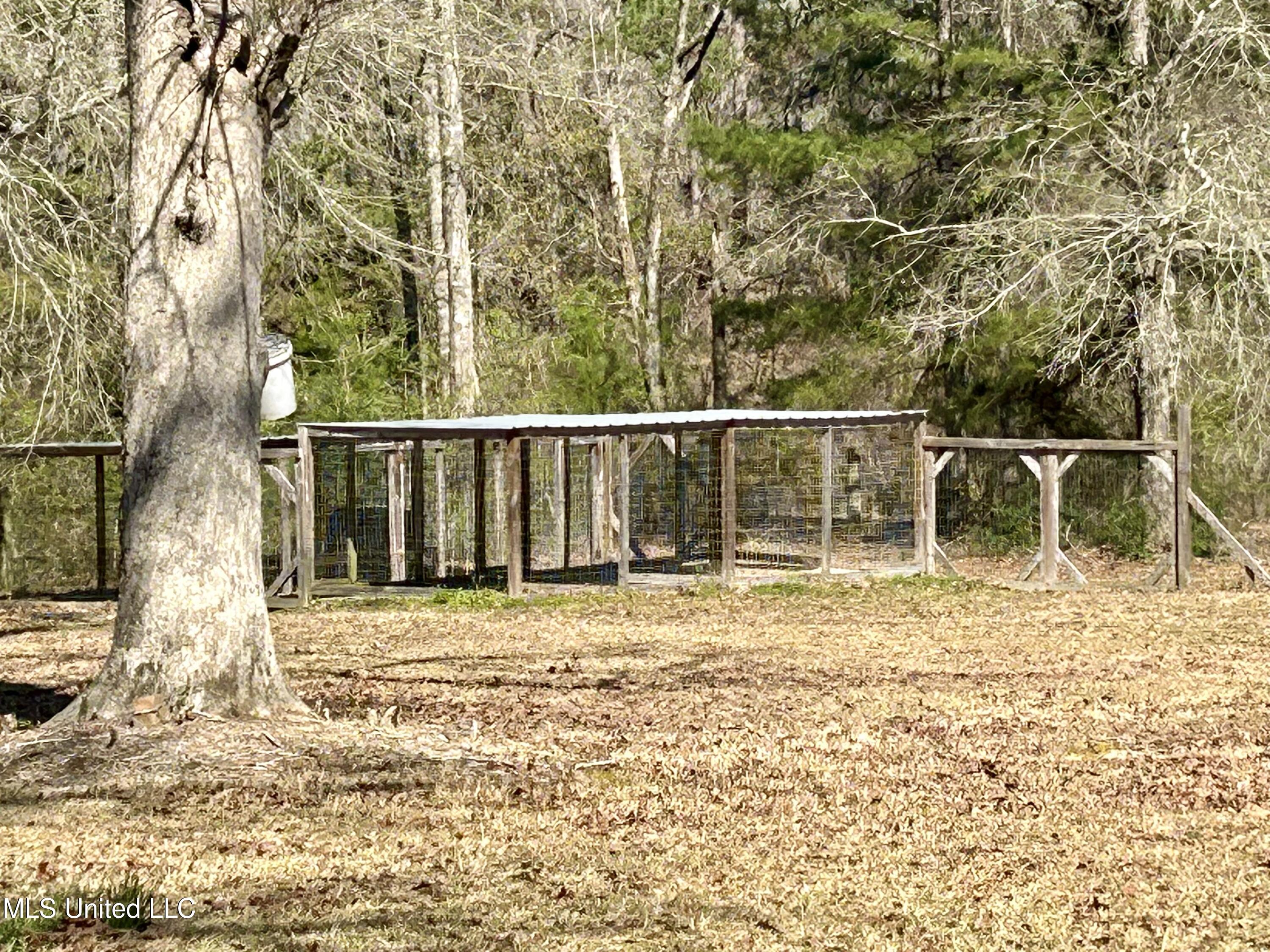 19 Pine Trail Road Perkinston, MS 39573 - Photo 25 of 32 IMG_2841