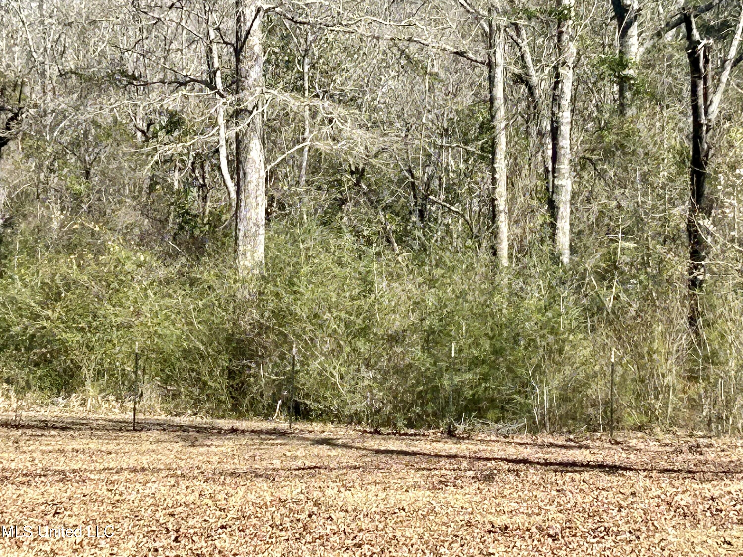 19 Pine Trail Road Perkinston, MS 39573 - Photo 26 of 32 IMG_2842