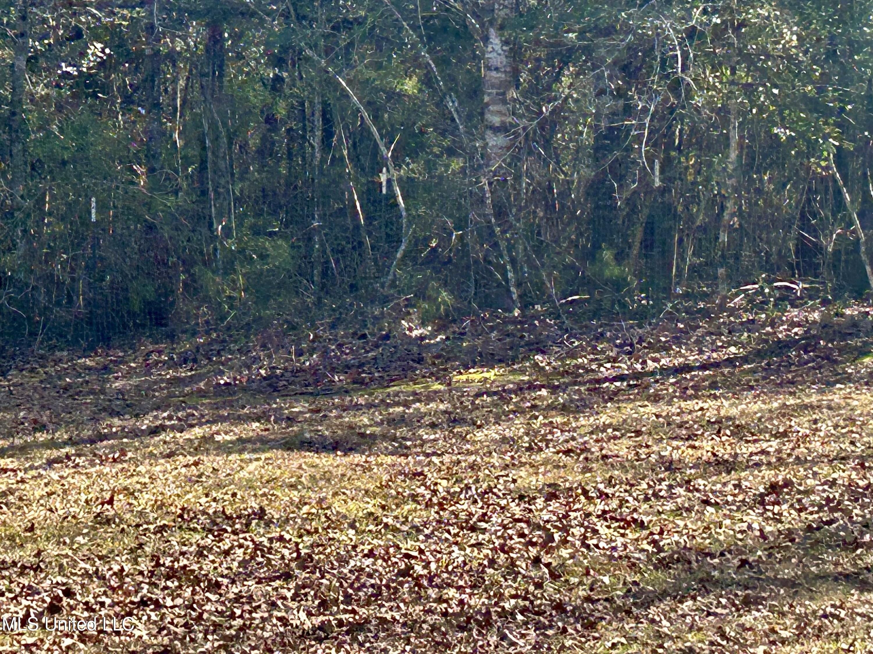 19 Pine Trail Road Perkinston, MS 39573 - Photo 28 of 32 IMG_2844