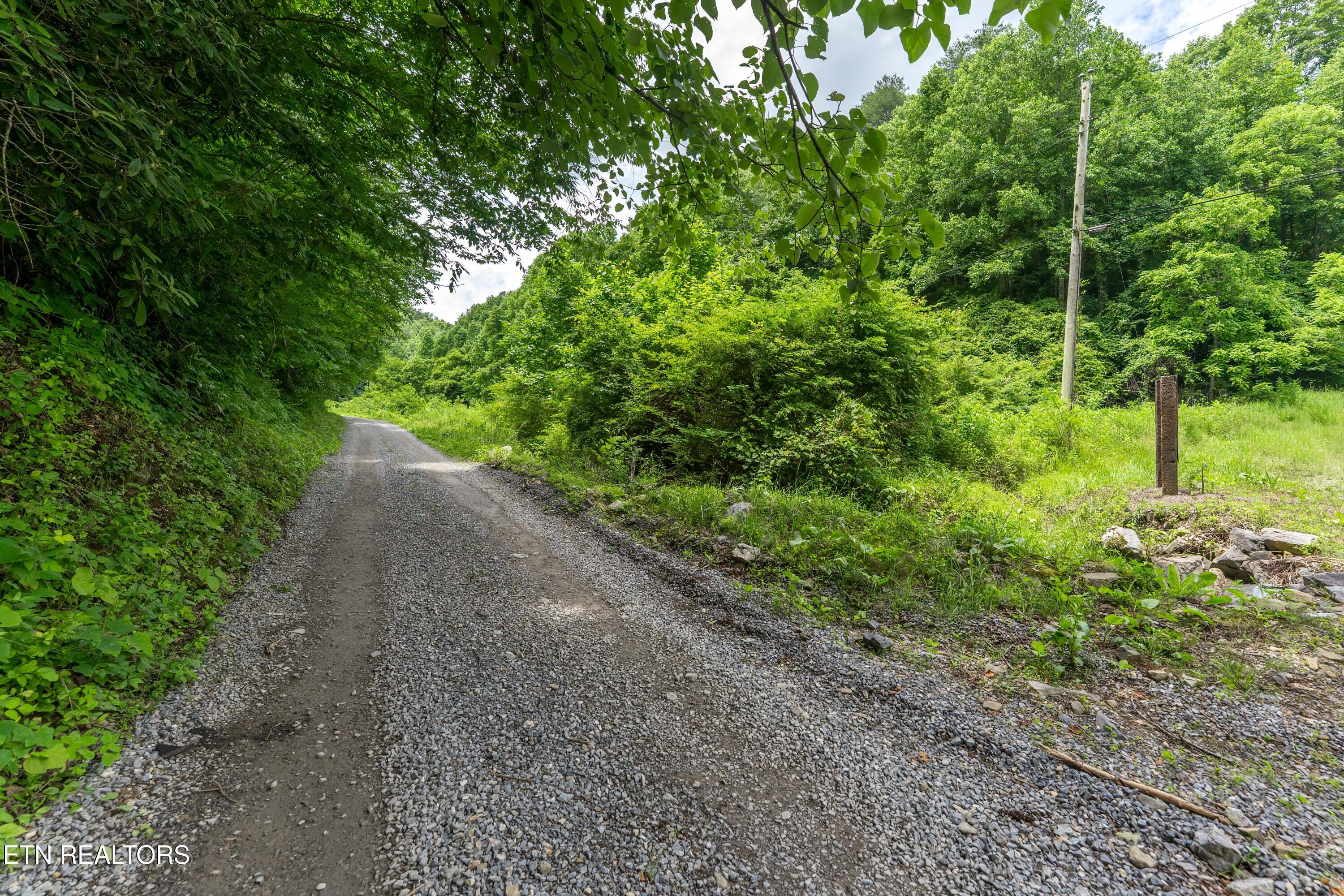 Johns Creek Road Del Rio, TN 37727 - Photo 9 of 17 _DSC3673-Edit