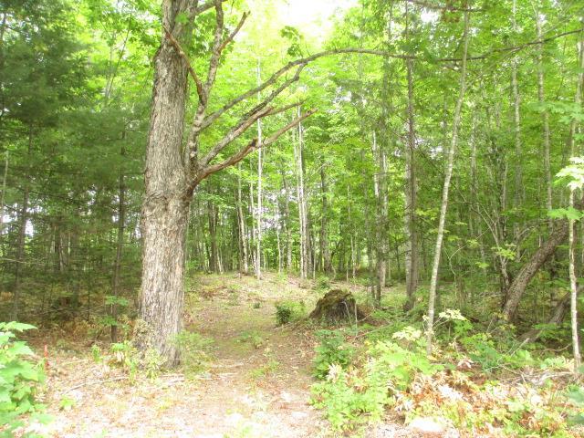 166 Cross Road Greenbush, ME 04418 - Photo 14 of 14 Photo