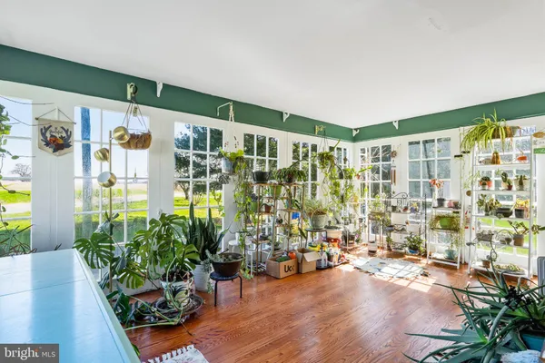 a view of livingroom with furniture and floor to ceiling window