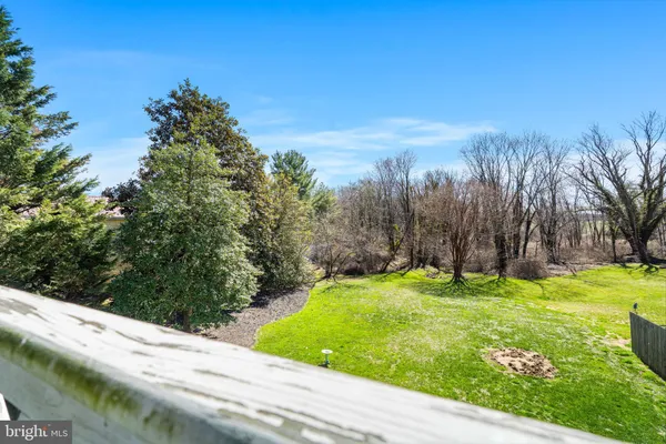a view of a backyard with large trees