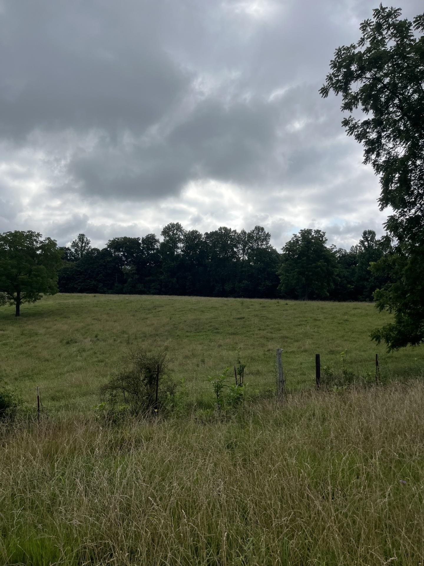 899 East L Smith Road Monroe, TN 38573 - Photo 6 of 18