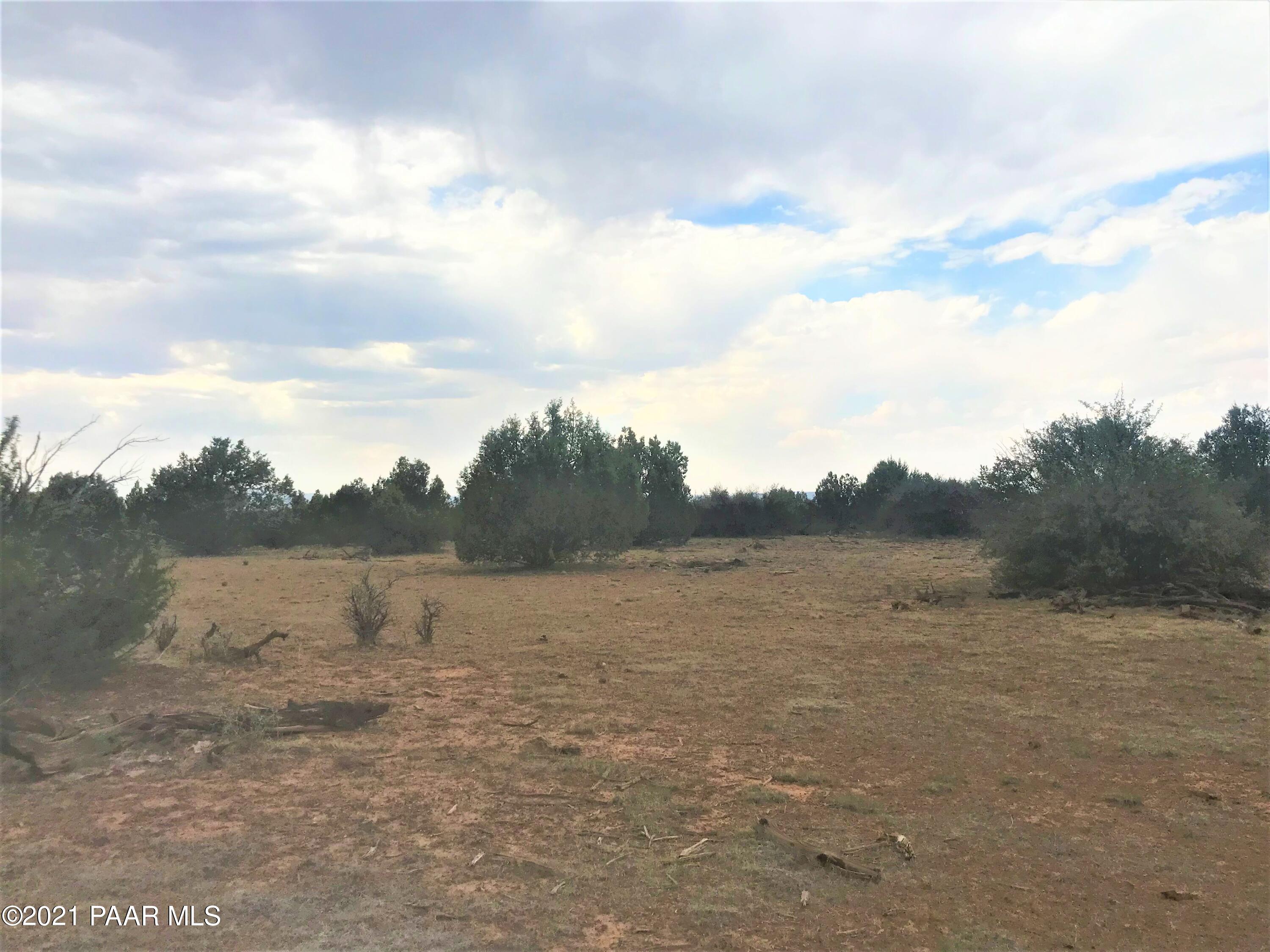 2 Off Of Raney Road Ash Fork, AZ 86320 - Photo 1 of 5 IMG_2180