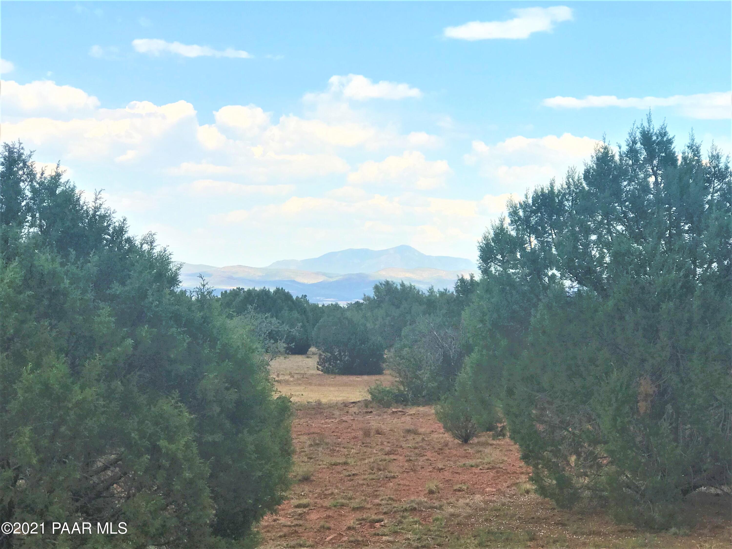 2 Off Of Raney Road Ash Fork, AZ 86320 - Photo 2 of 5 IMG_2181