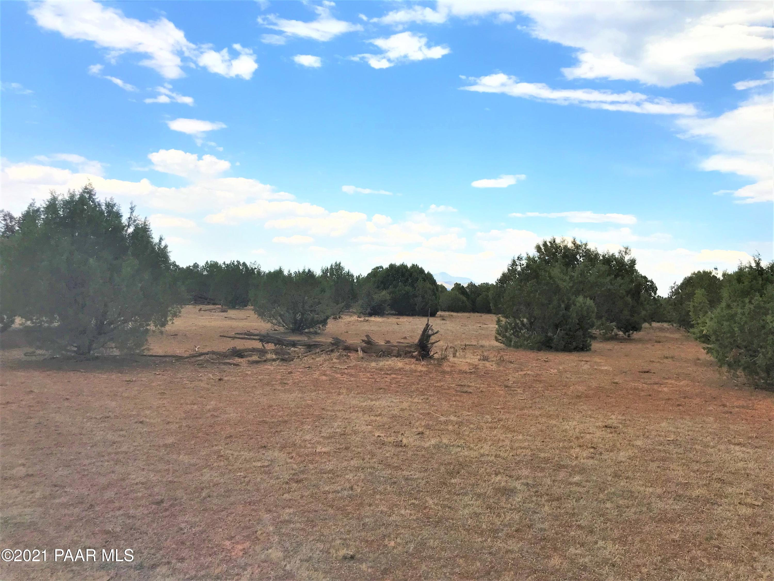 2 Off Of Raney Road Ash Fork, AZ 86320 - Photo 5 of 5 IMG_2183