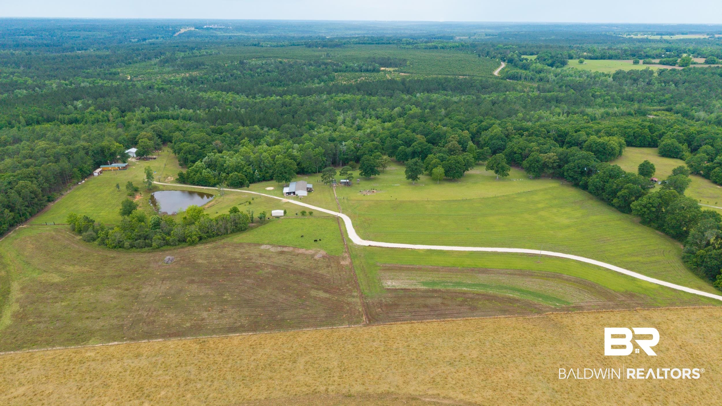 6725 Upper Creek Road Flomaton, AL 36441 - Photo 4 of 61 View of rural area featuring a forest