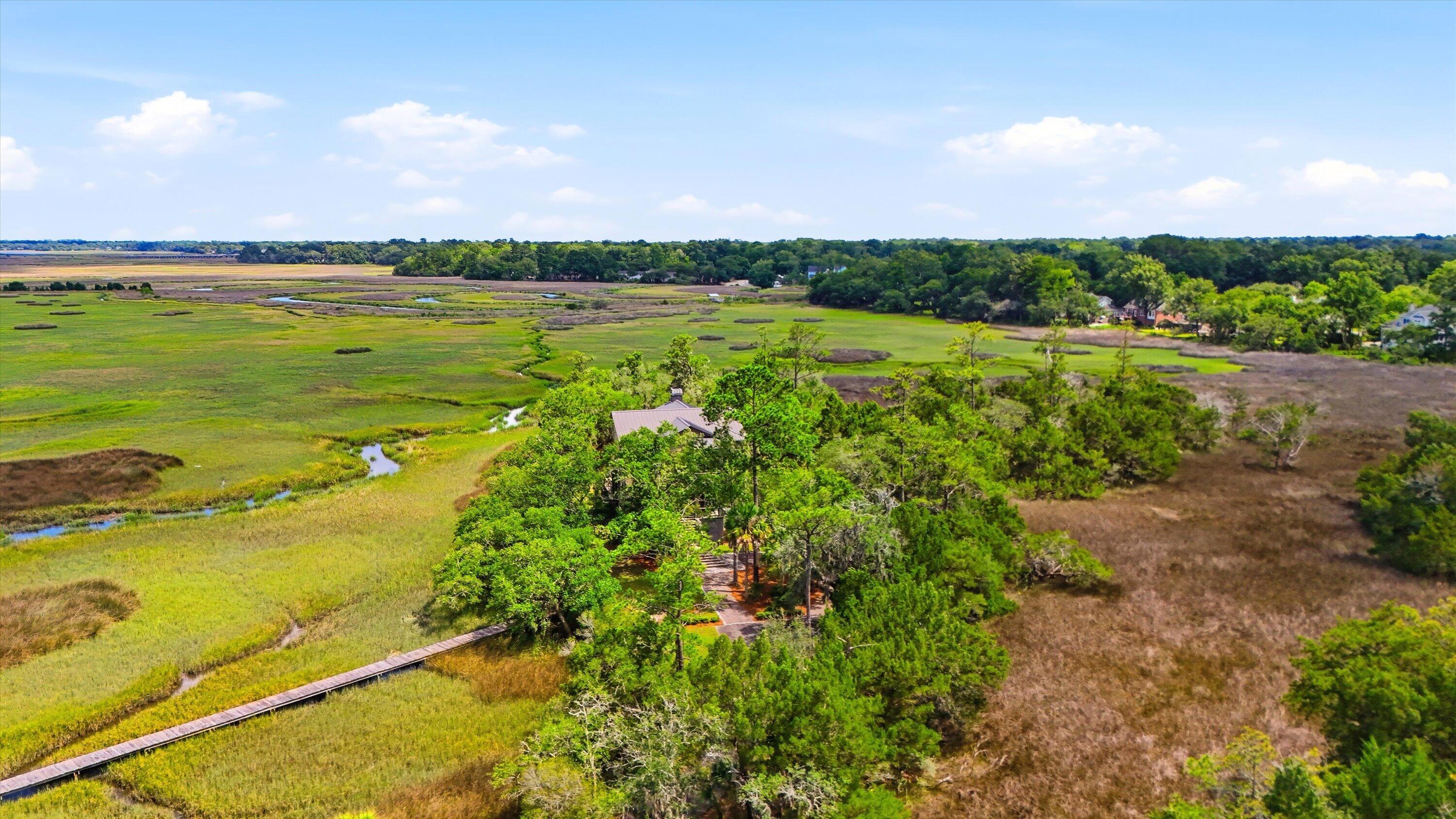 2415 Rice Pond Road Charleston, SC 29414 - Photo 66 of 73 Aerial house4