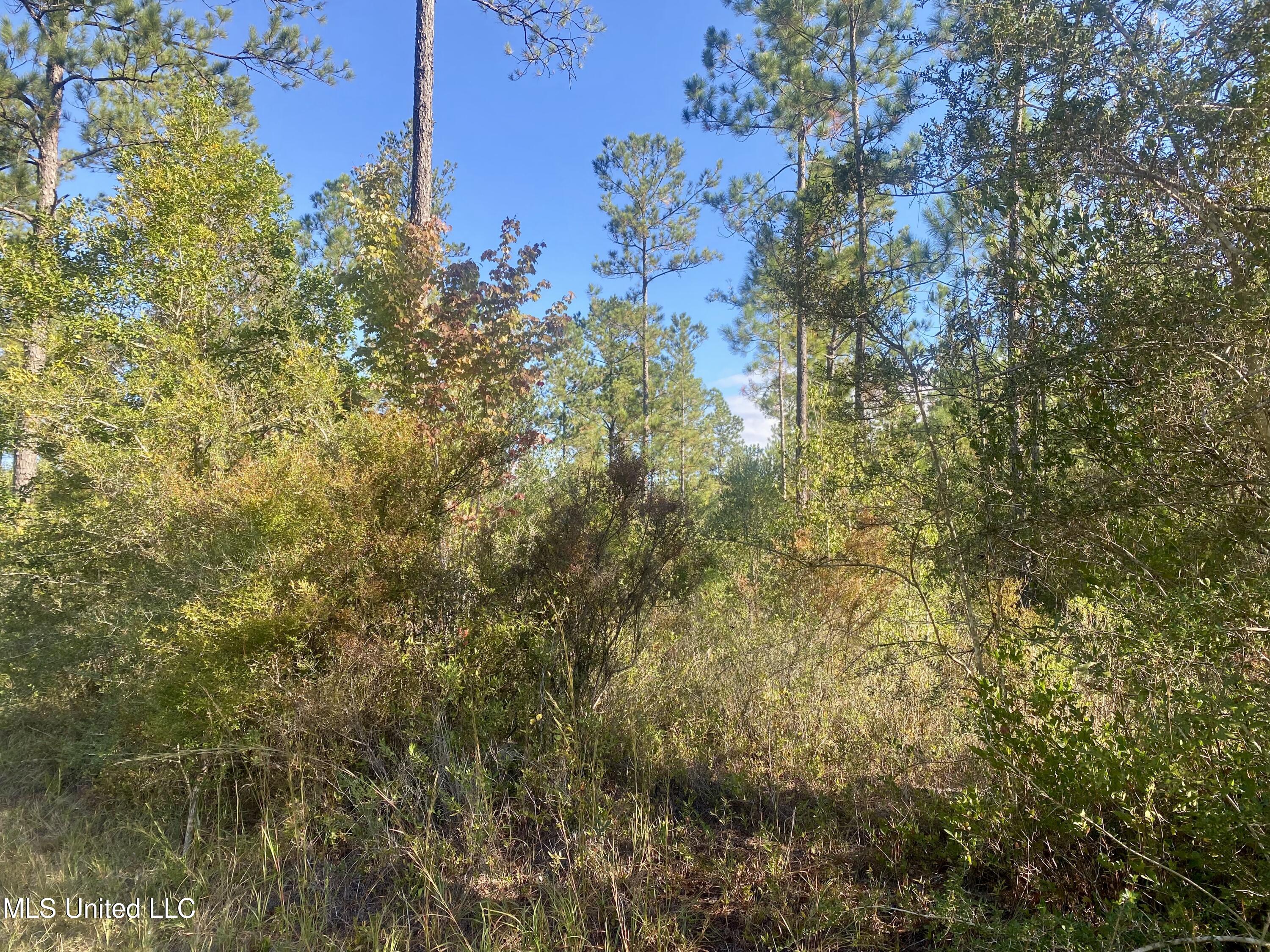 170 Deep Creek Road Wiggins, MS 39577 - Photo 1 of 1 Property