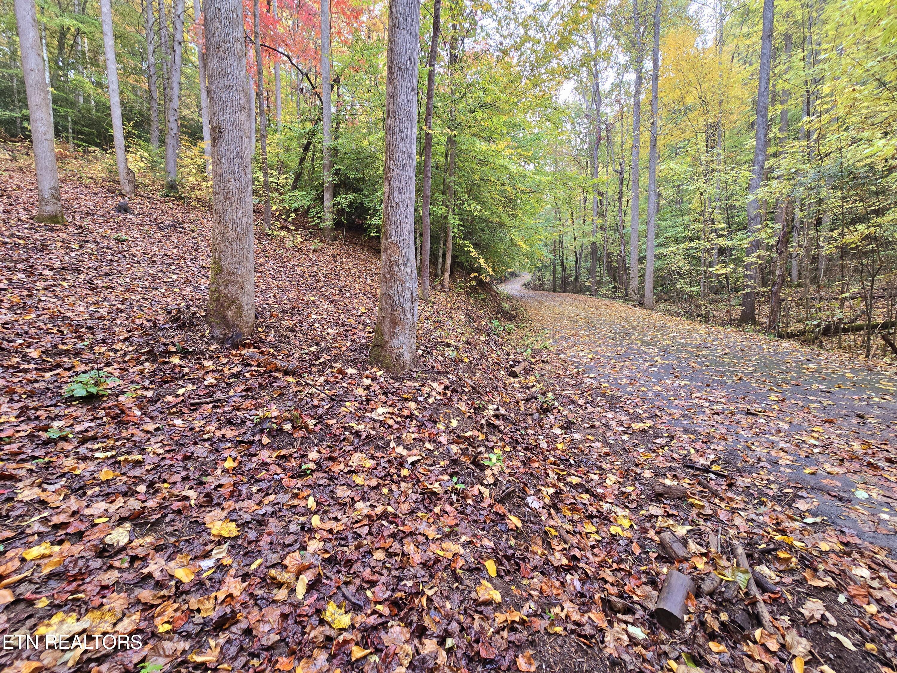 Cara Way Cosby, TN 37722 - Photo 2 of 7 20241026_135316