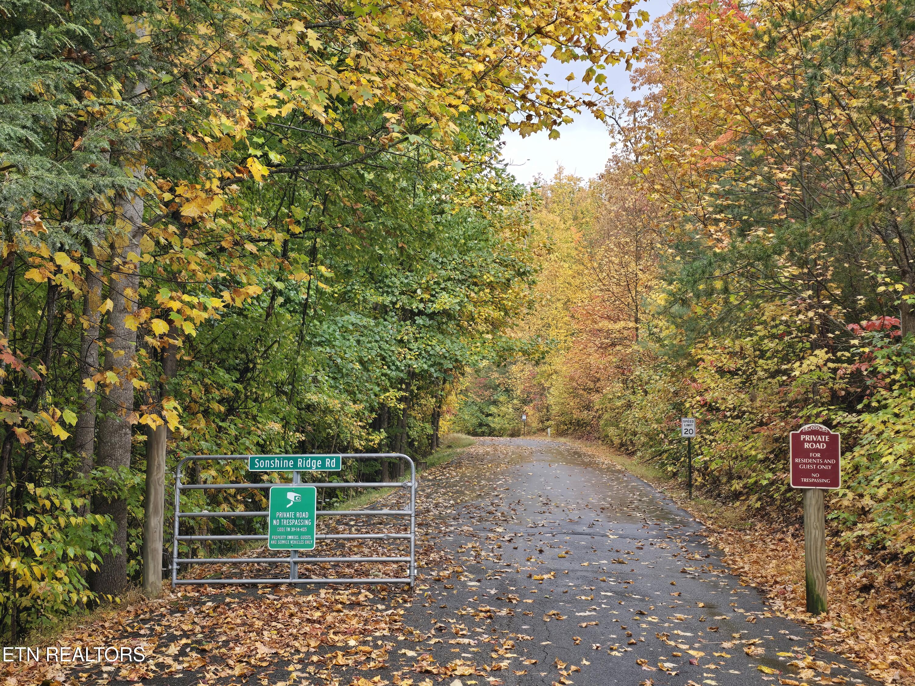 Cara Way Cosby, TN 37722 - Photo 3 of 7 20241026_134327