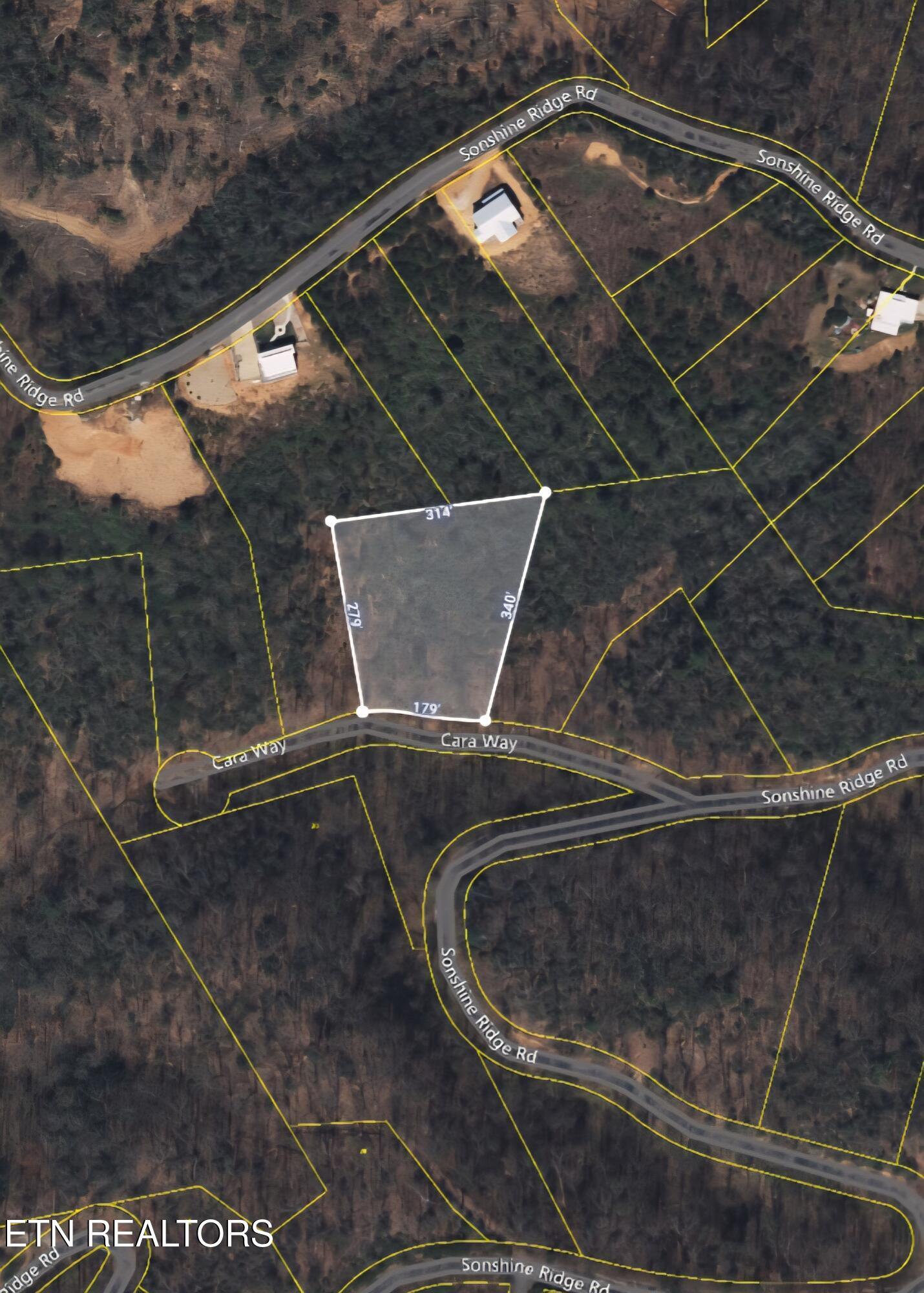 Cara Way Cosby, TN 37722 - Photo 4 of 7 1000033364