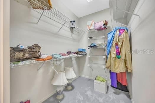 507 Surrey Lane Lutz, FL 33549 - Photo 27 of 27 a room with a white bath tub and cabinets